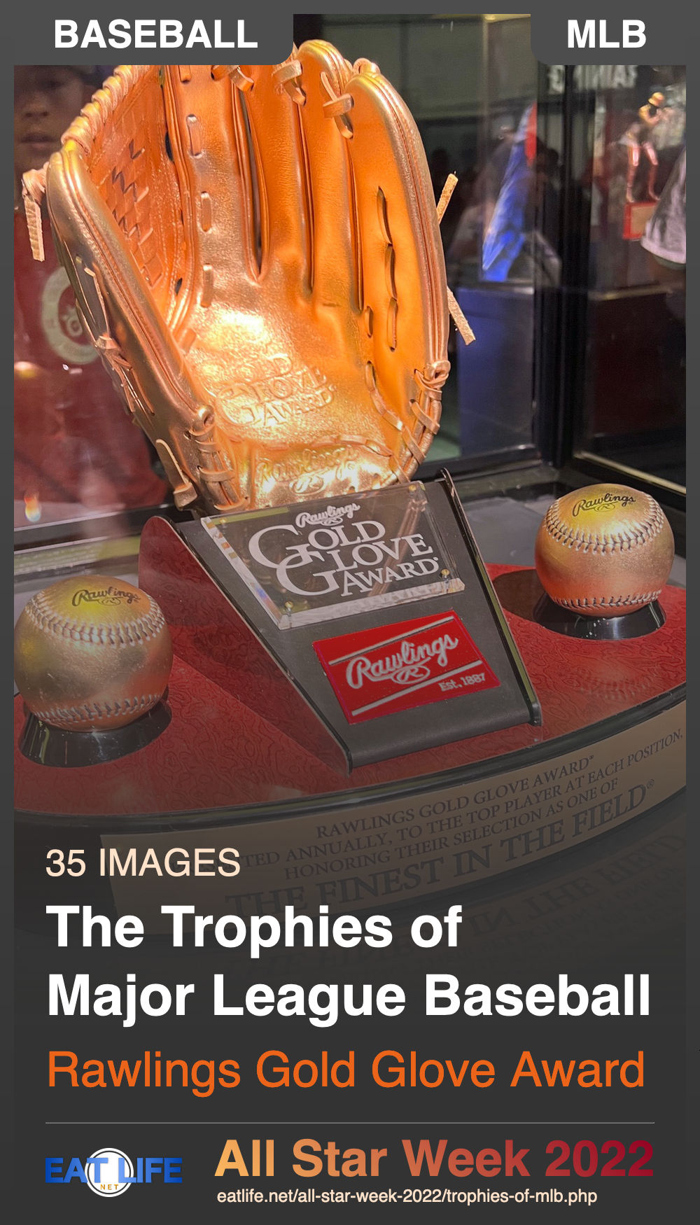 Trophies Of Mlb