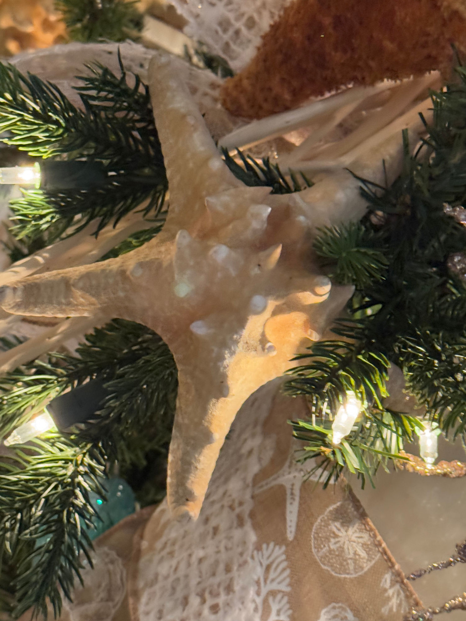 Grenada Starfish Christmas Ornament