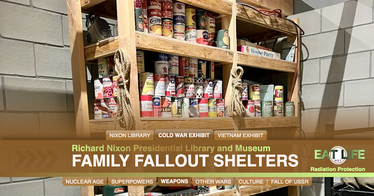 The Family Fallout Shelter