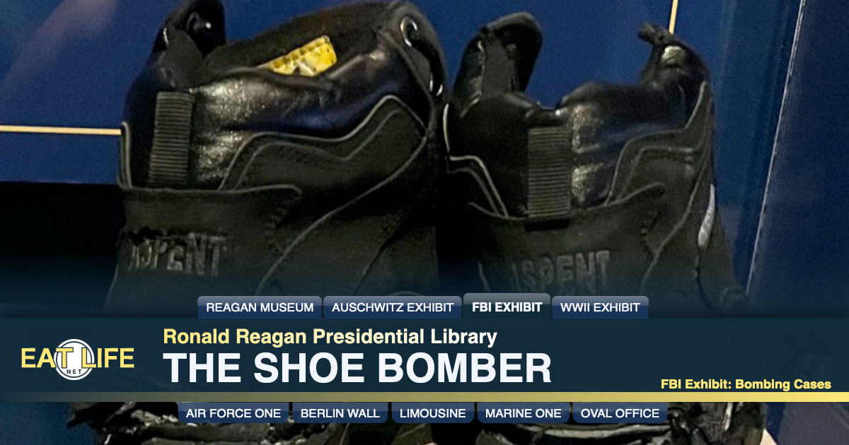 The Shoe Bomber