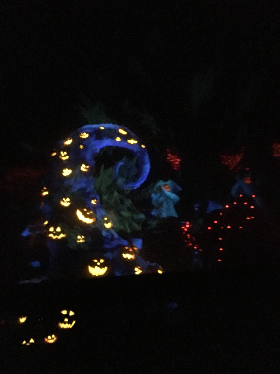 Disneyland Scary Christmas