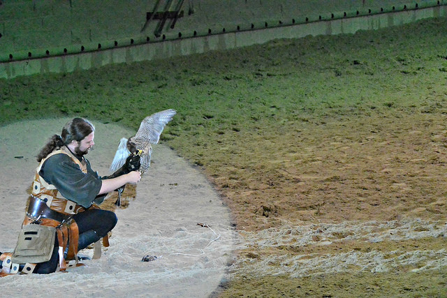 Medieval Times Falconer