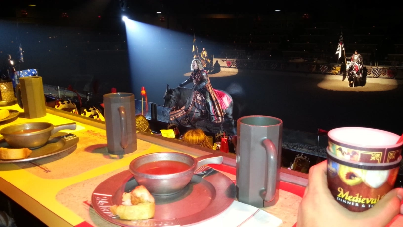 Medieval Times View