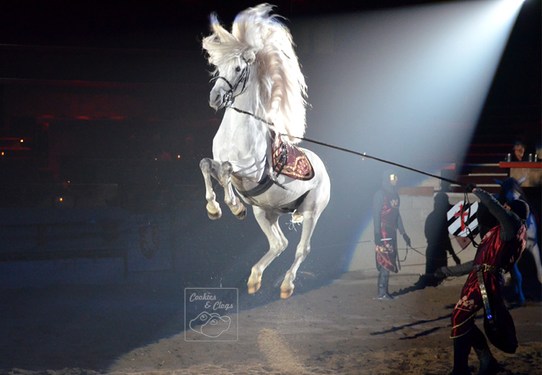 Medieval Times Jumping Horse