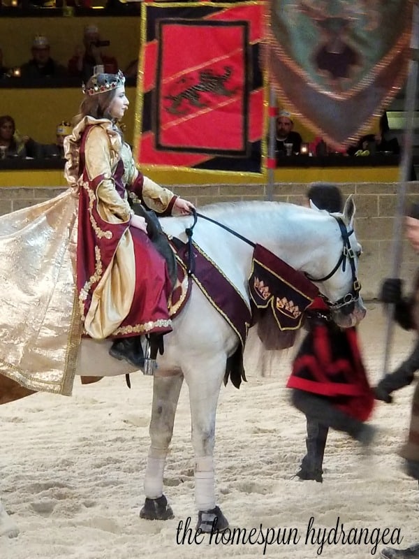 Medieval Times Story Line