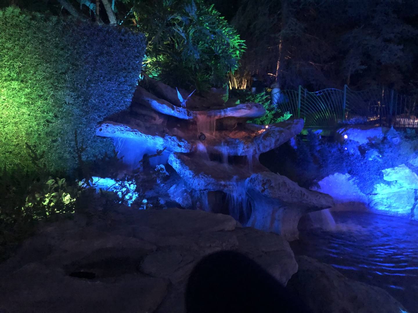 Pixie Hollow at Night