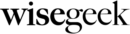 Wisegeek Logo