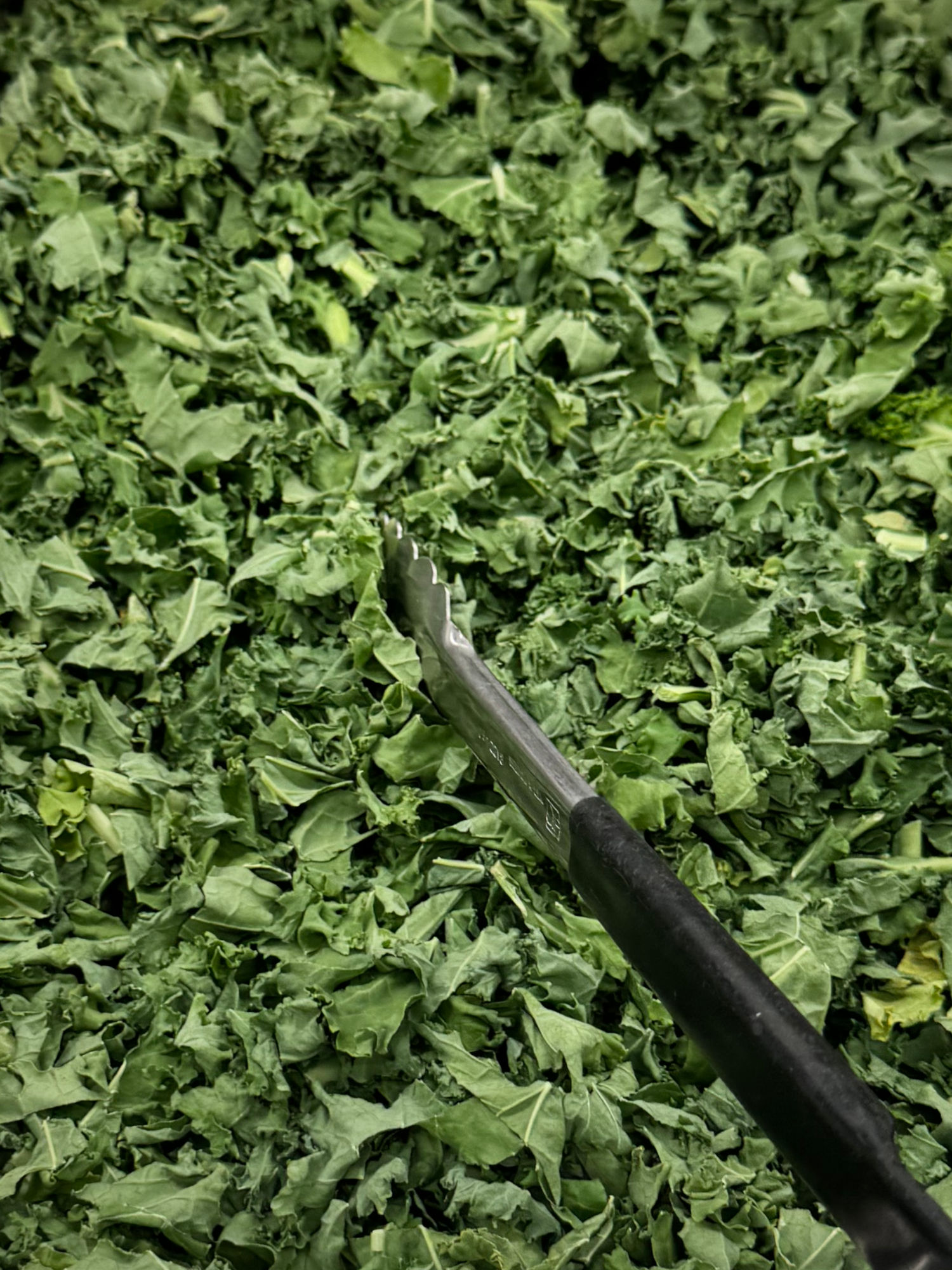 Amazon Fresh Shredded Kale