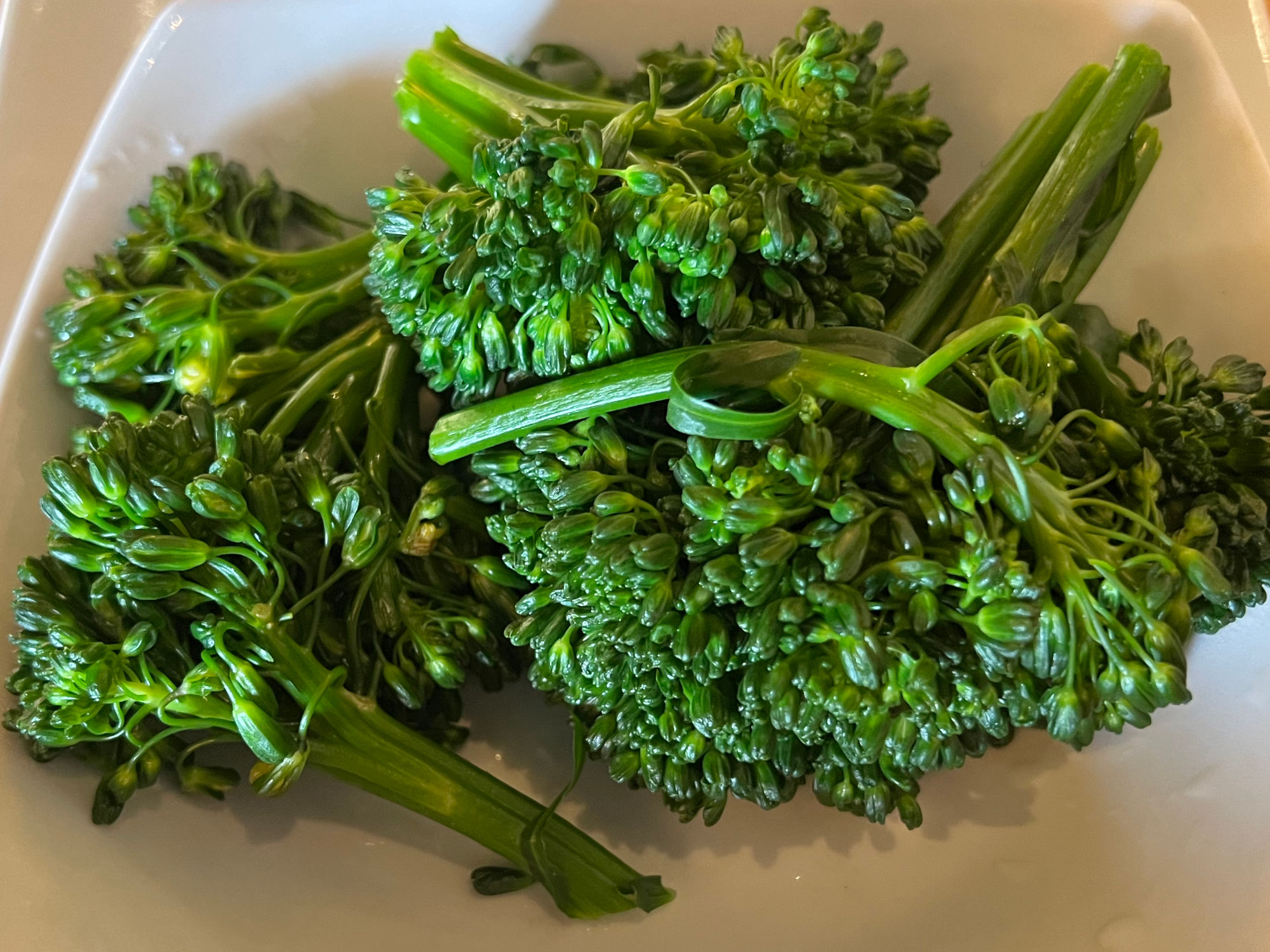 CPK Broccoli