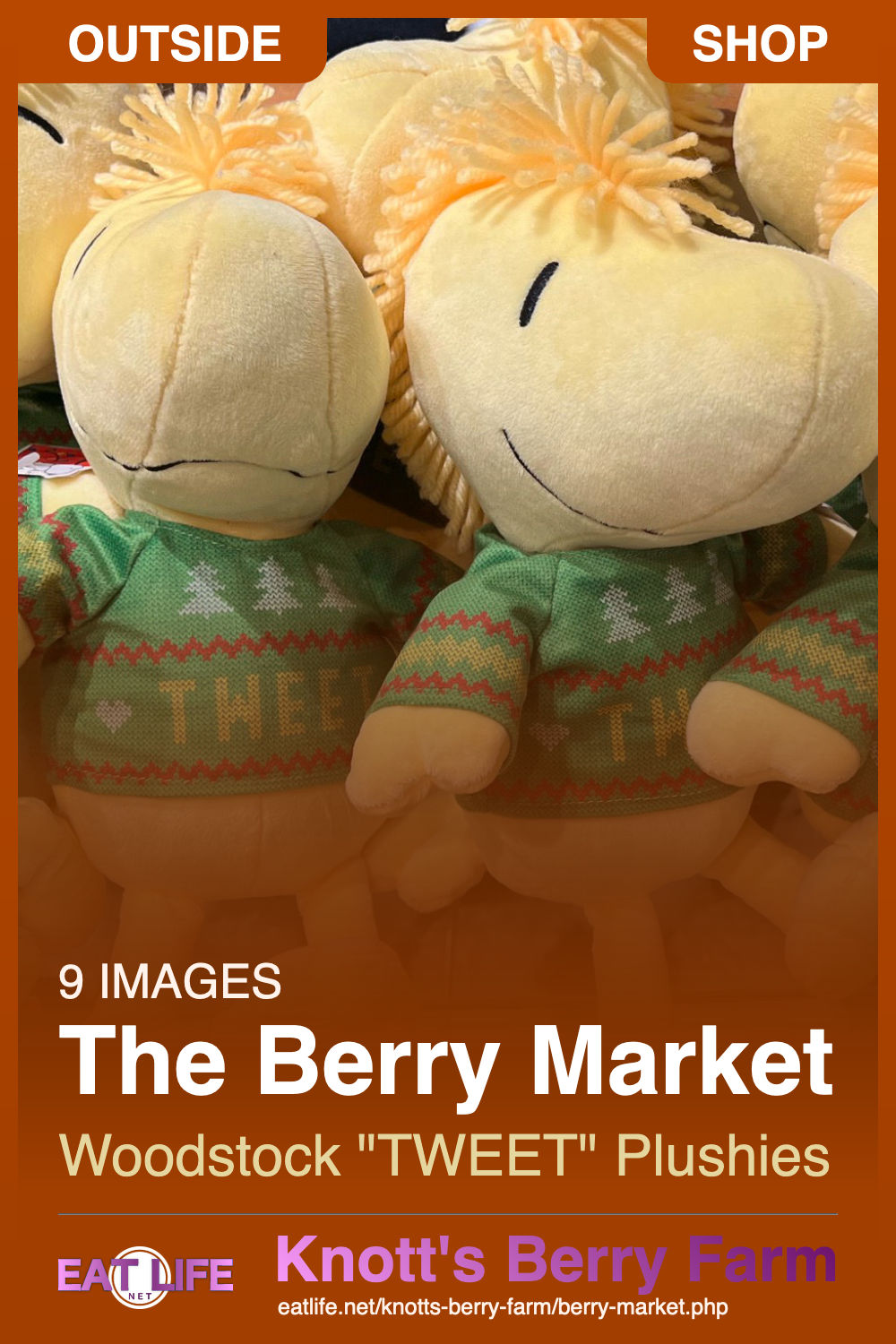 Berry Market