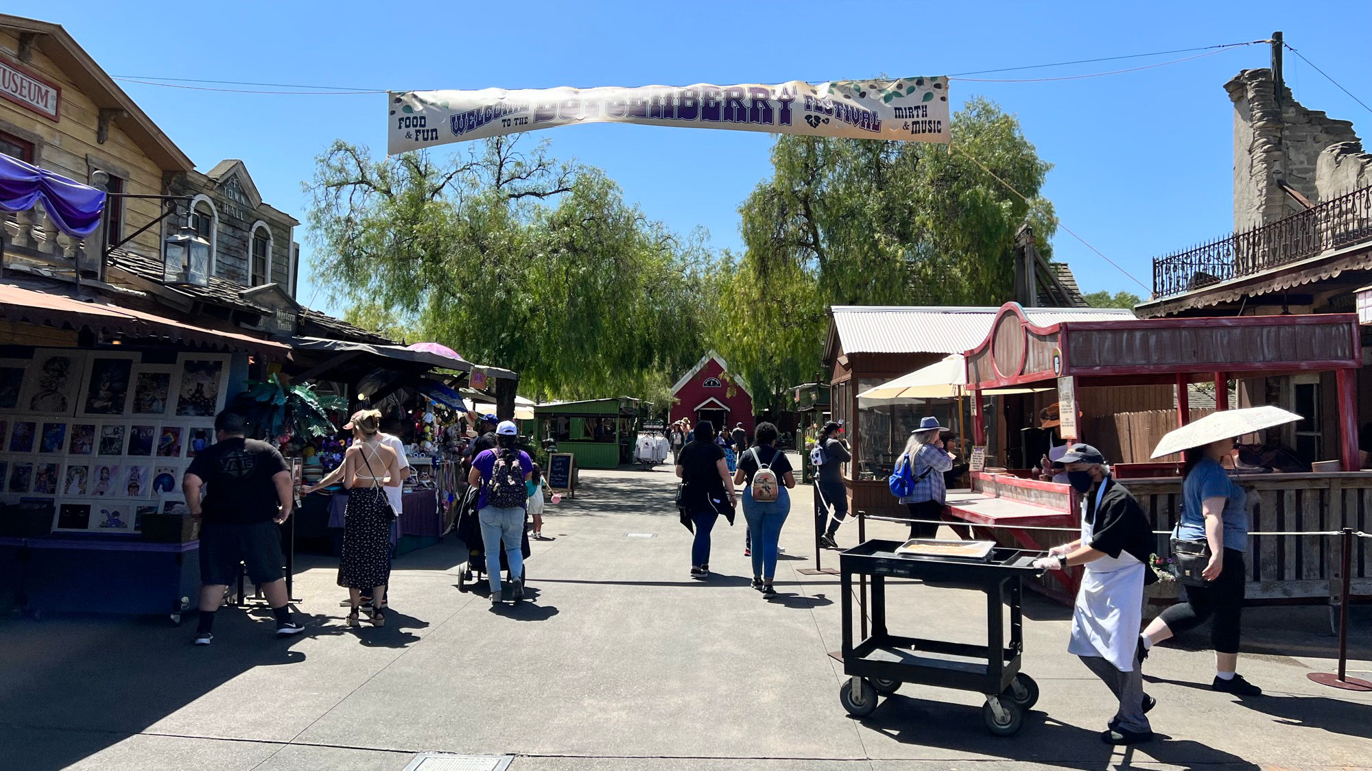 Boysenberry Festival Banner