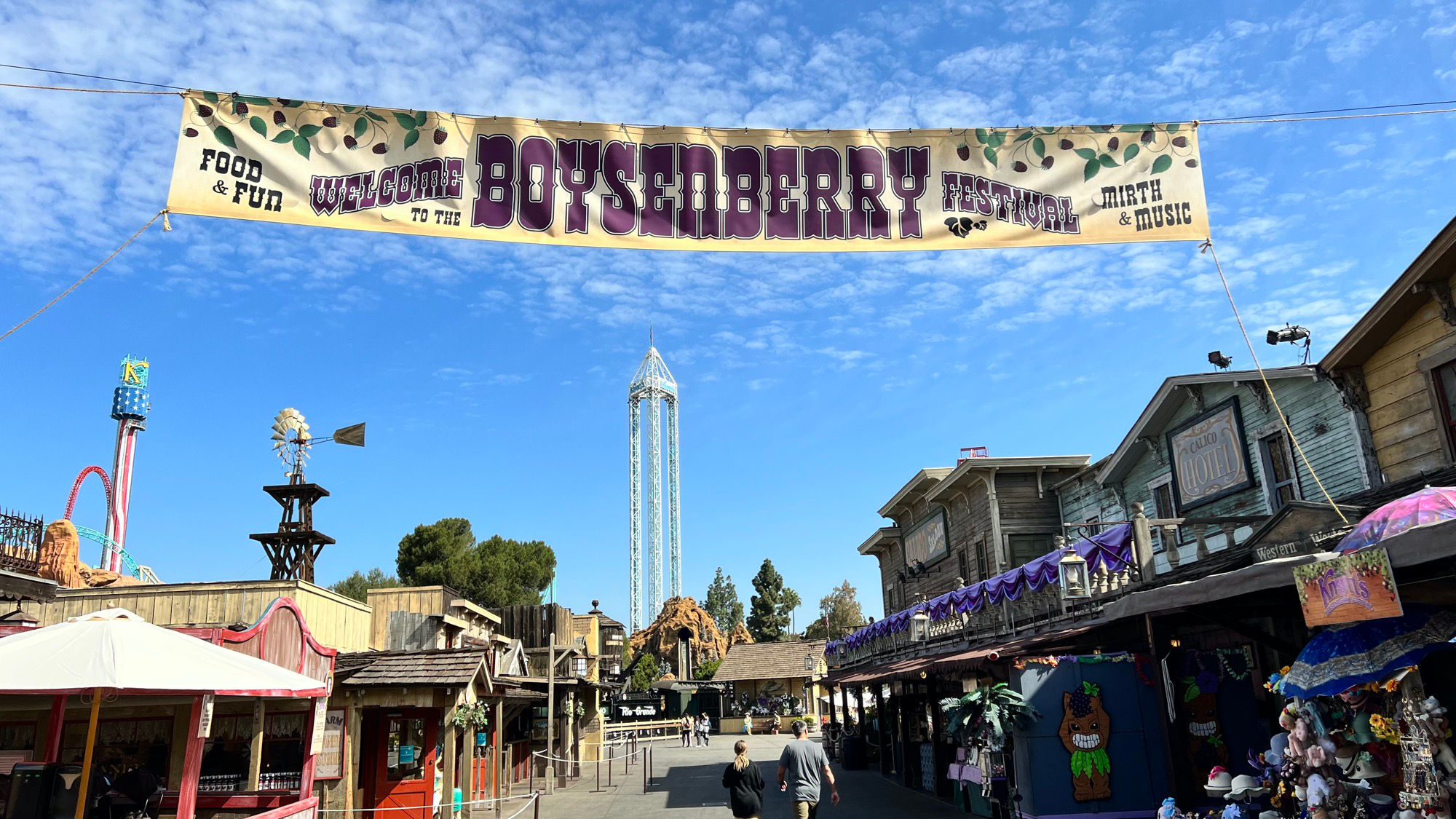 Boysenberry Festival Banner