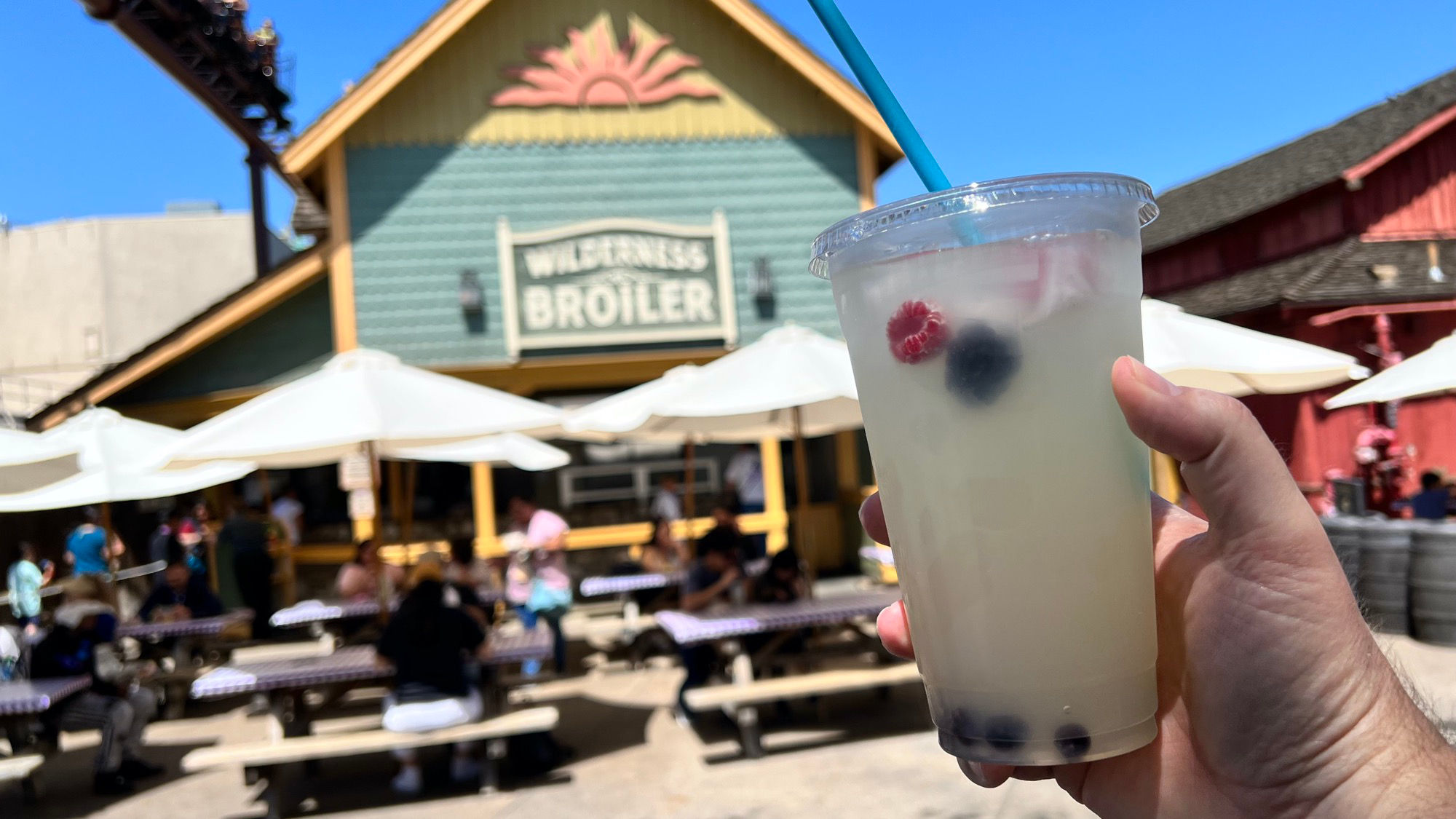 Boysenberry Festival Deconstructed Lemonade