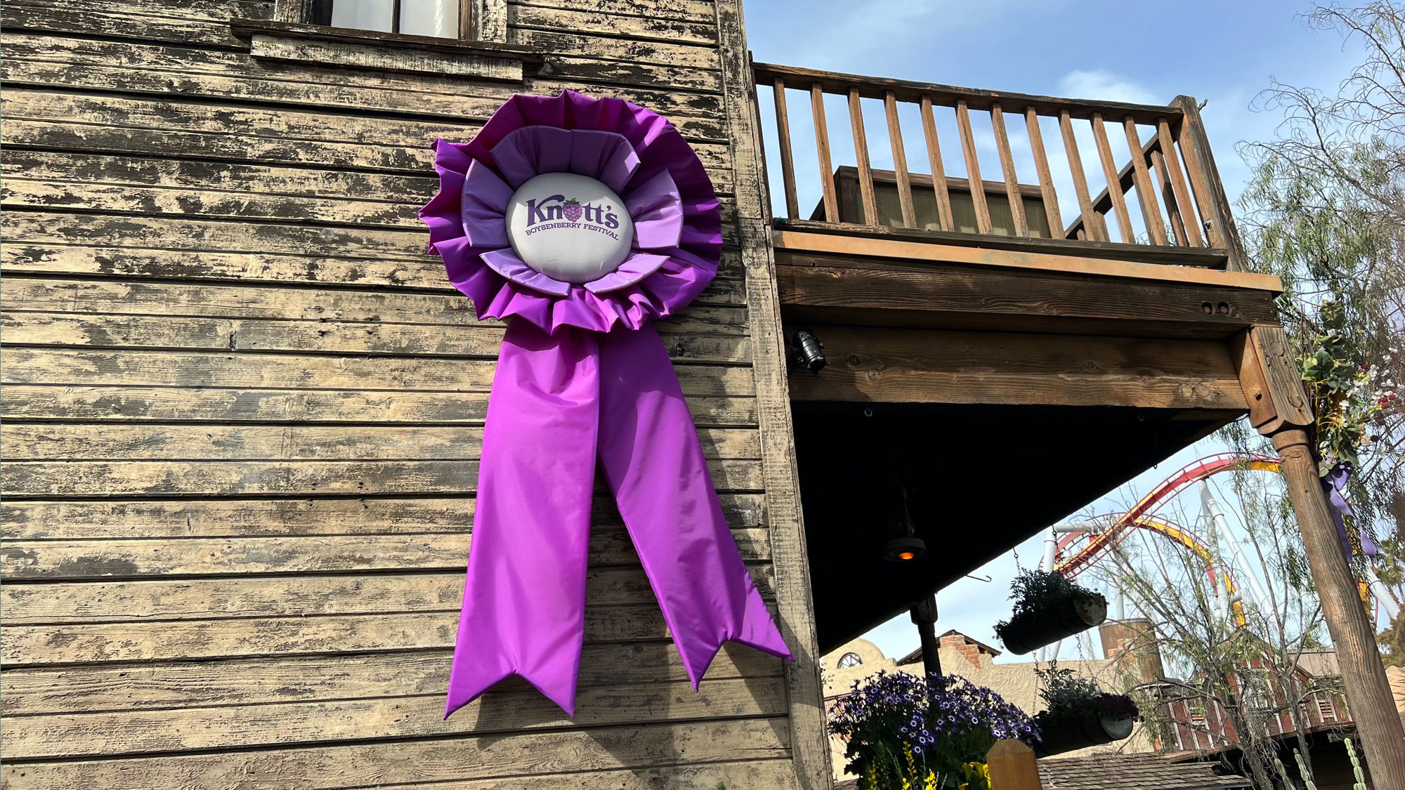 Knott's Berry Farm Ribbon