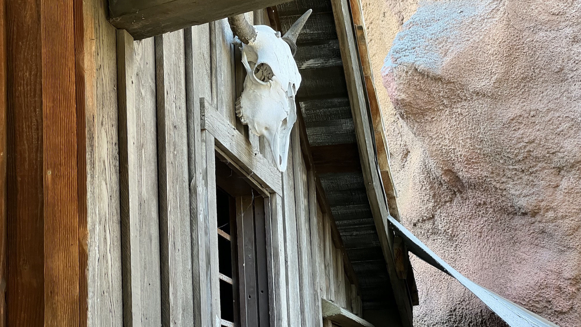 Calico Mine Ride Skull