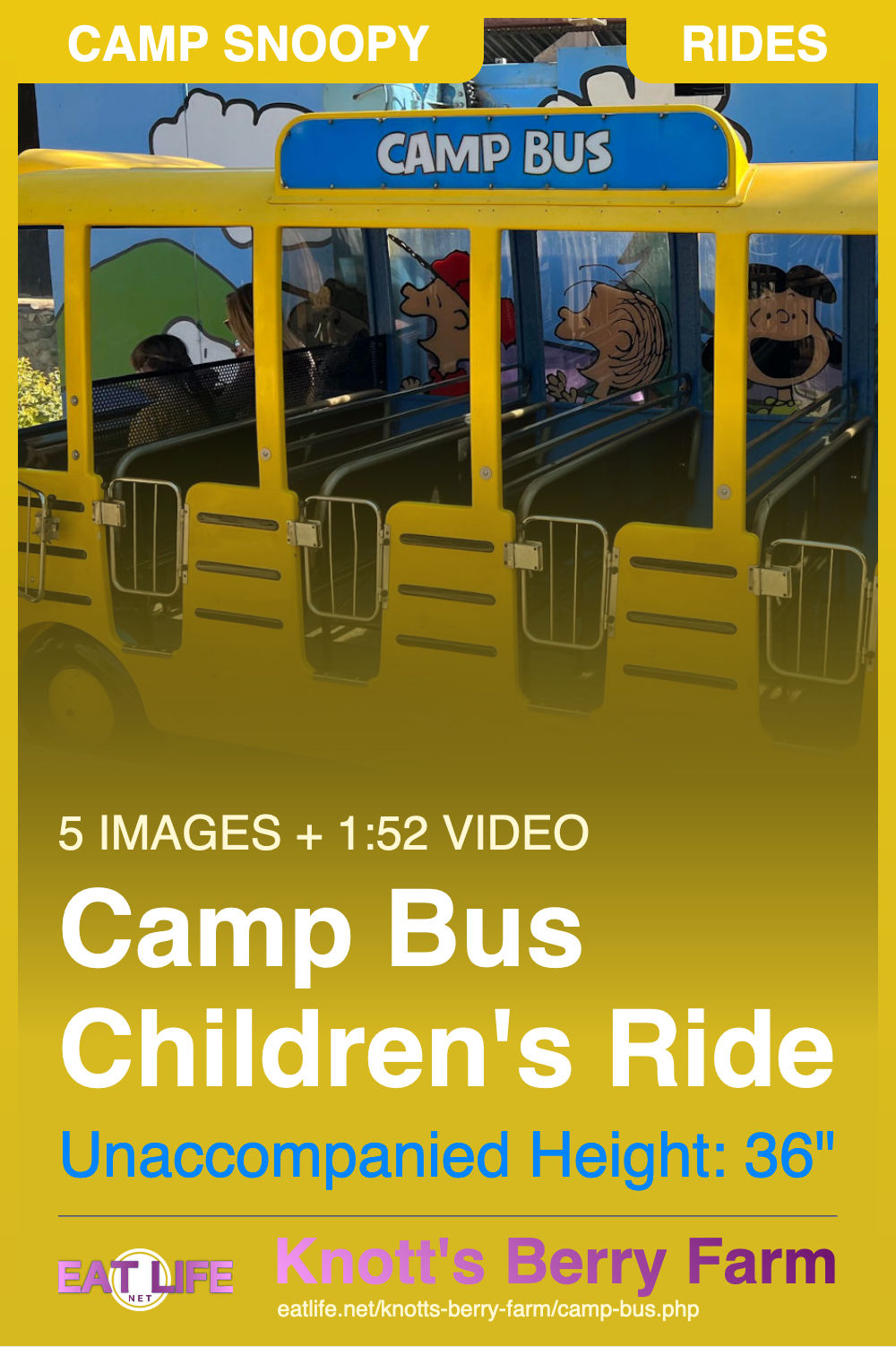 Camp Bus