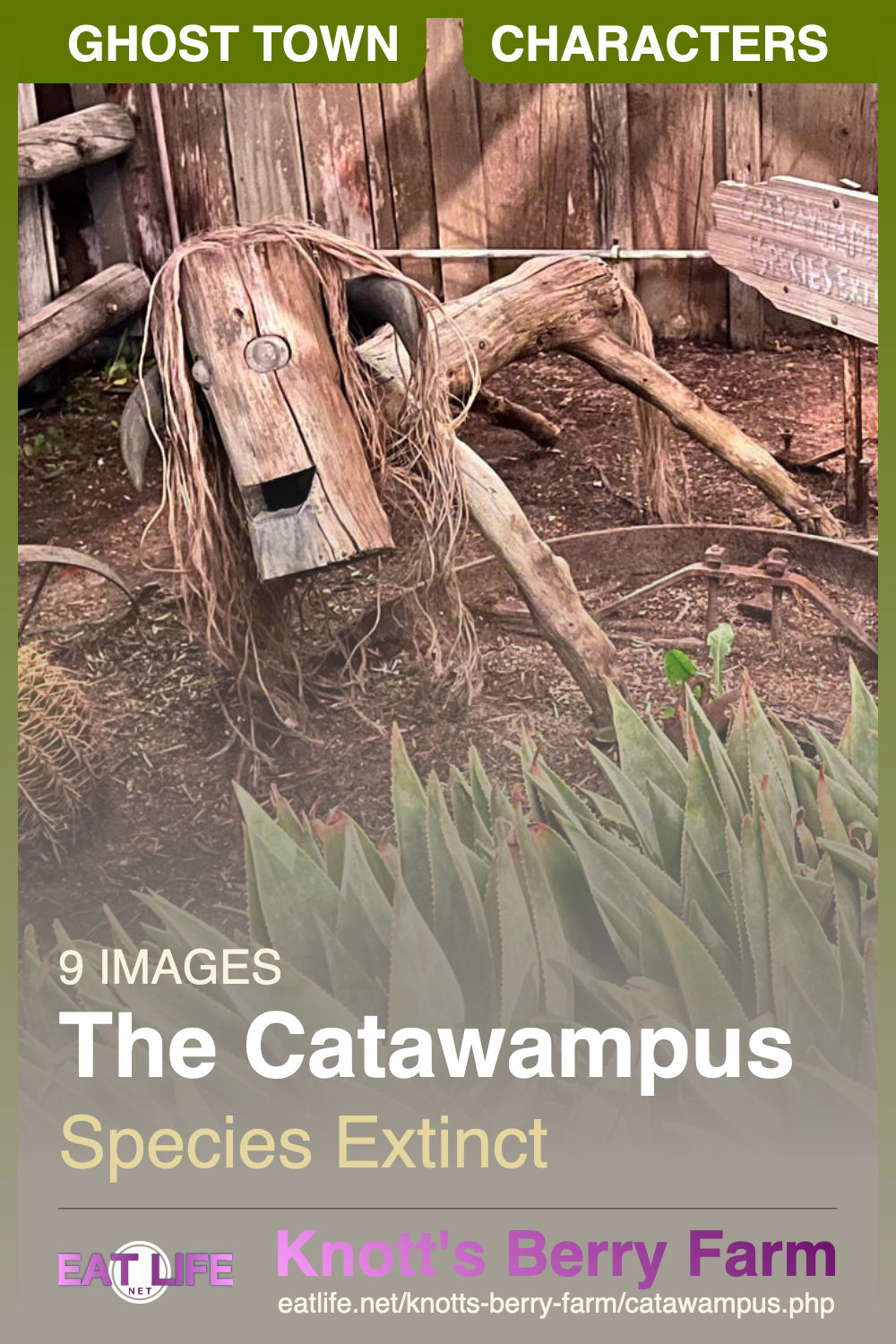 Catawampus