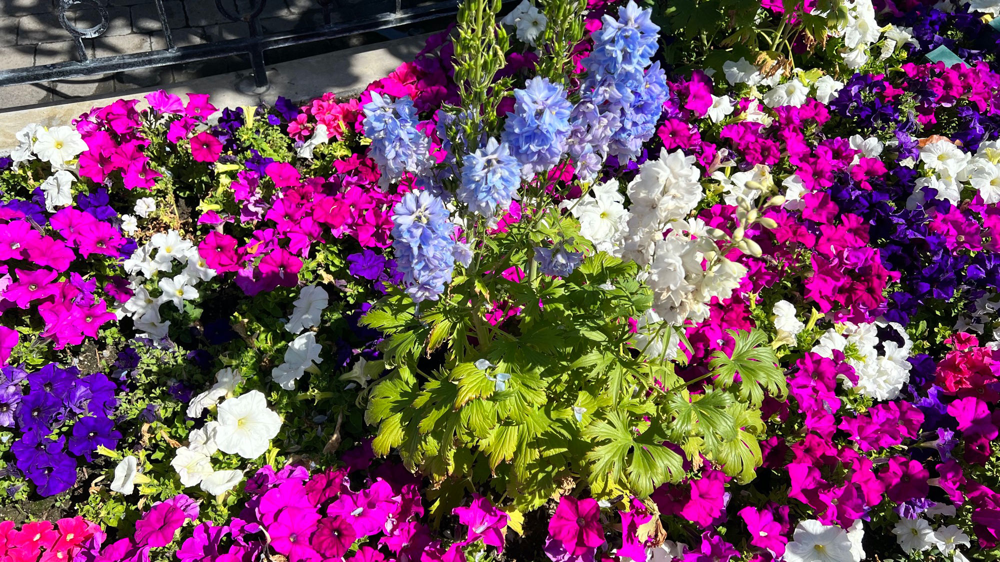 Charleston Circle Fountain Flowers