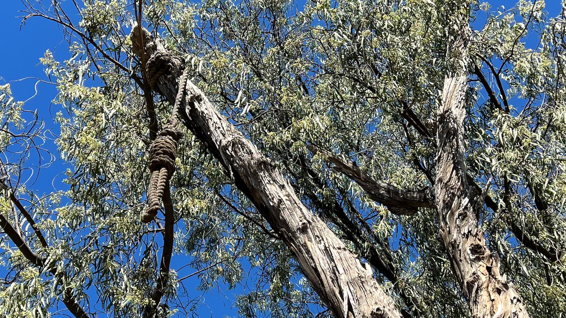 Ghost Town Hangman's Tree Noose