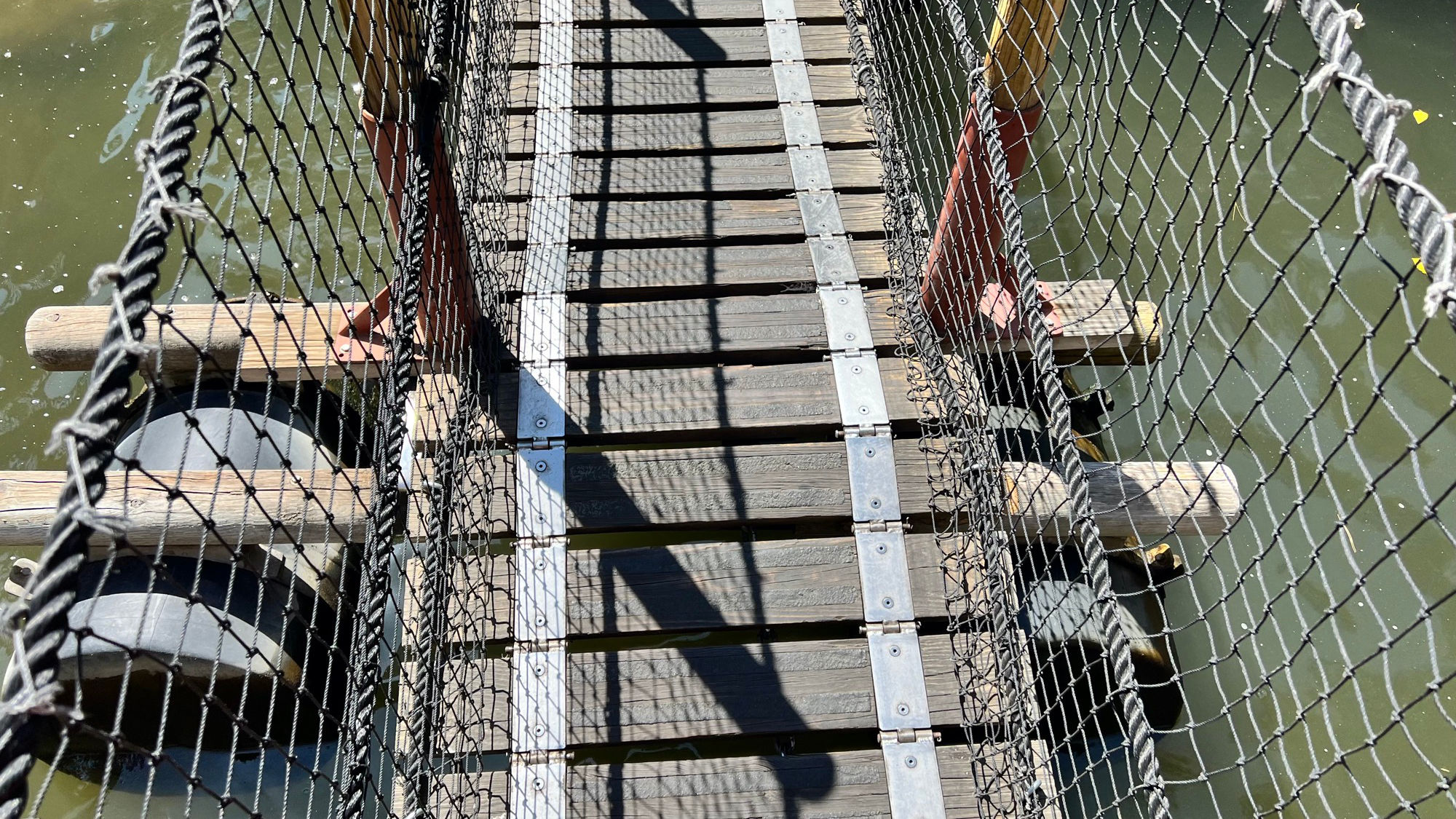 Grizzly Creek Rope Bridge