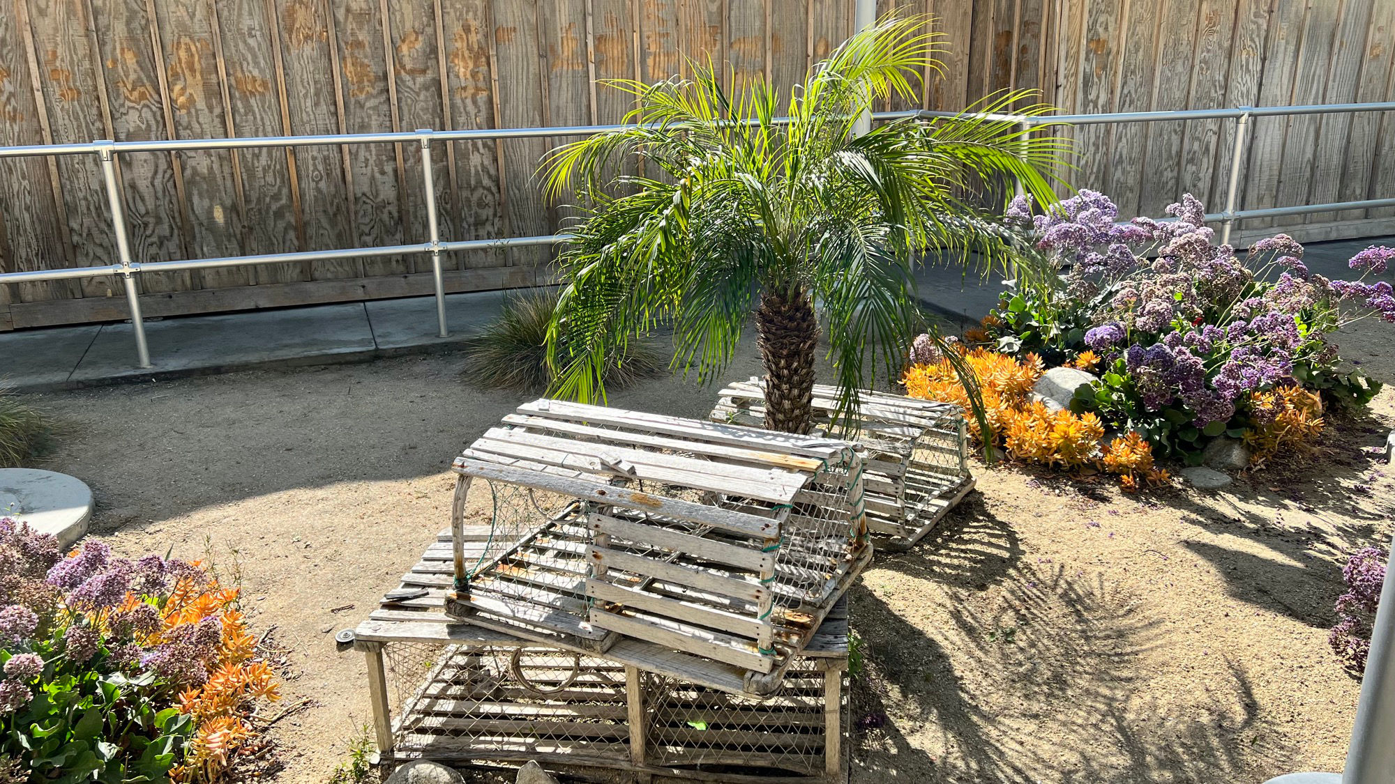 Knott's Berry Farm Hang Time Beach