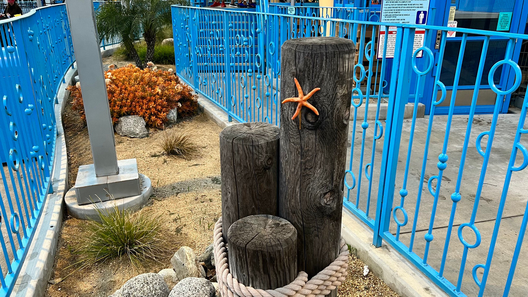 Knott's Berry Farm Hang Time Starfish