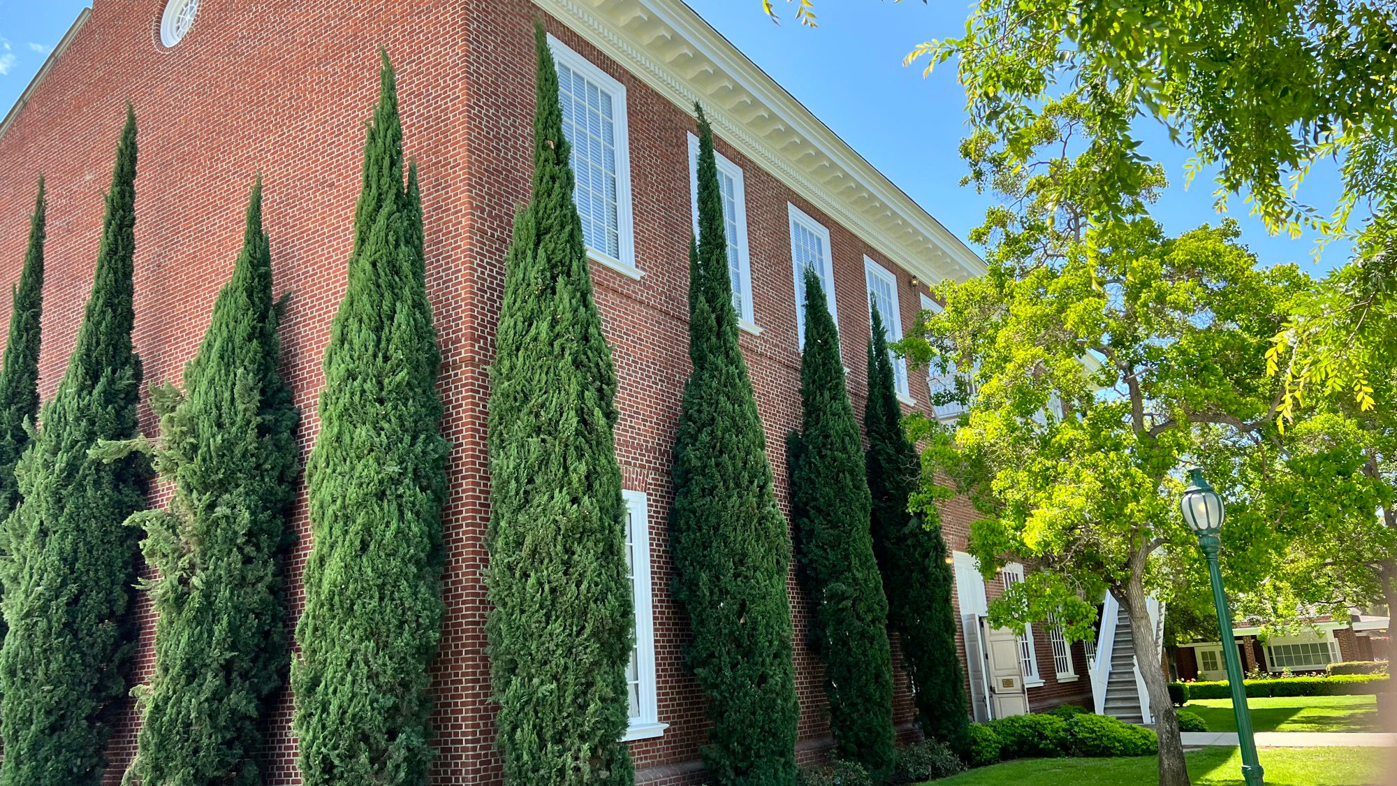 Independence Hall Museum Juniper Trees