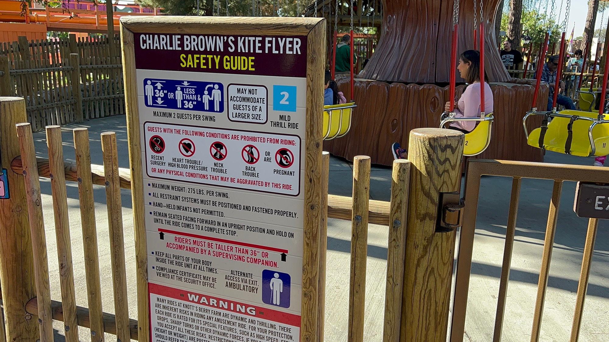 Charlie Brown's Kite Flyer Safety Guide