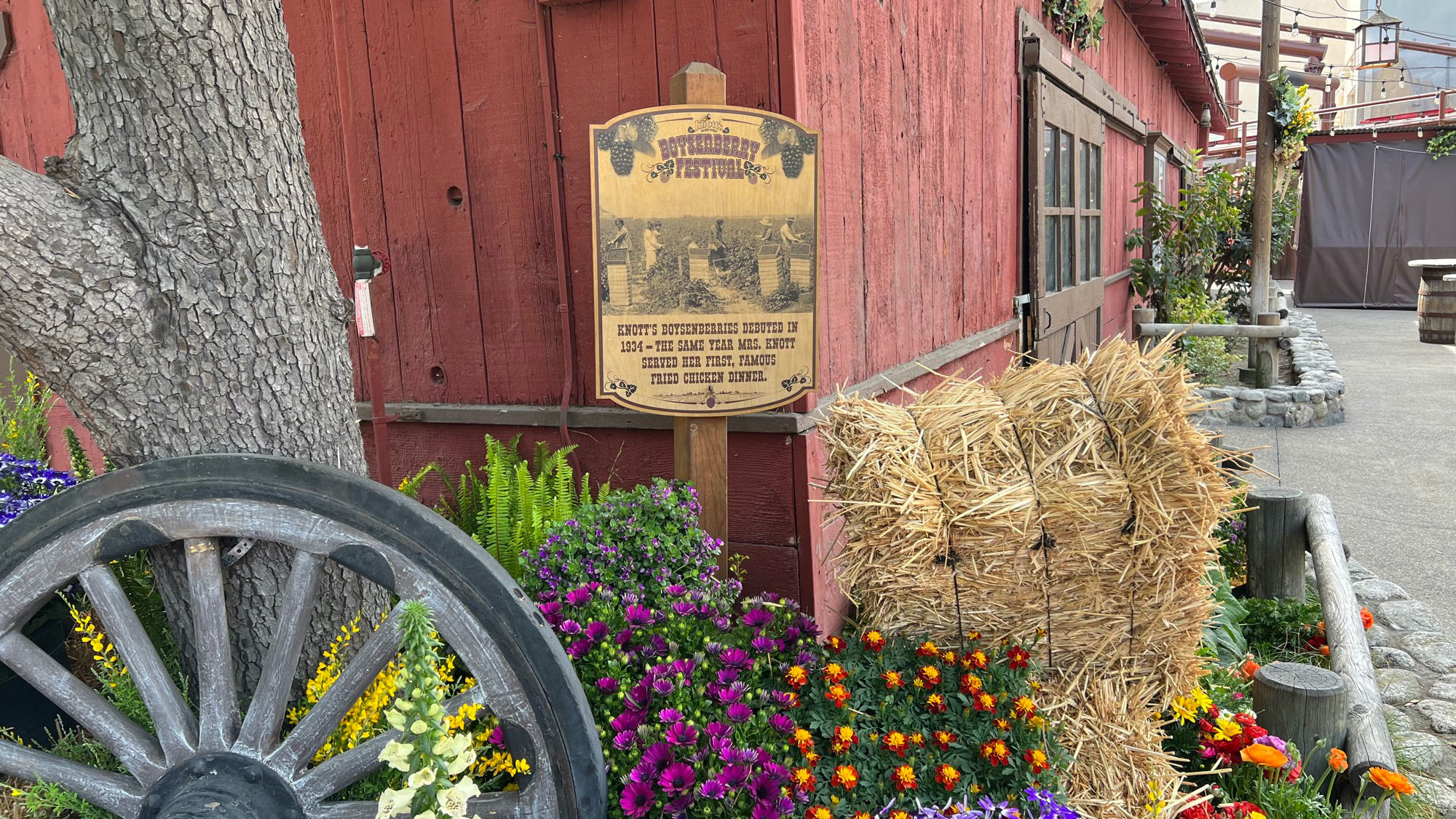 Knott's Berry Farm Debuted in 1934