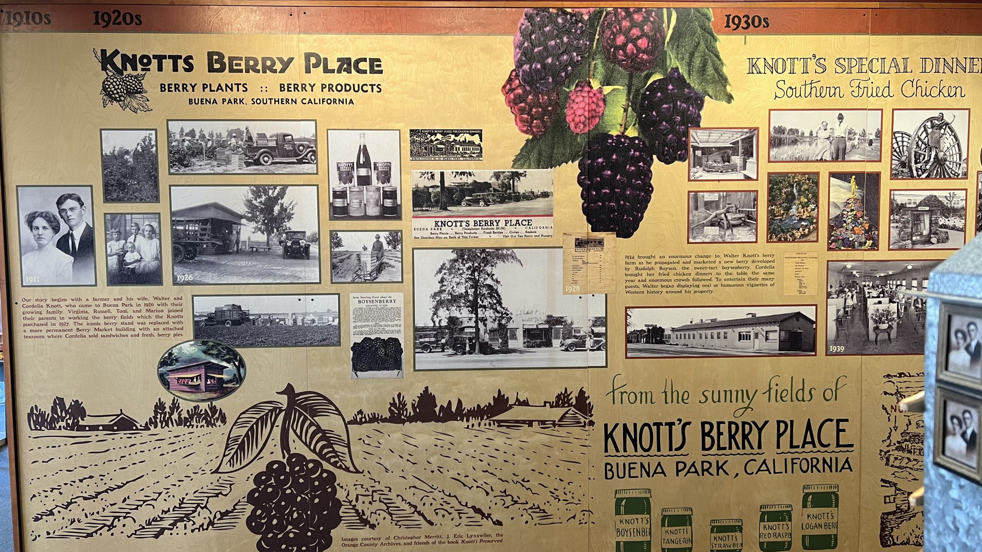 Knott's Berry Farm Timeline 1920s