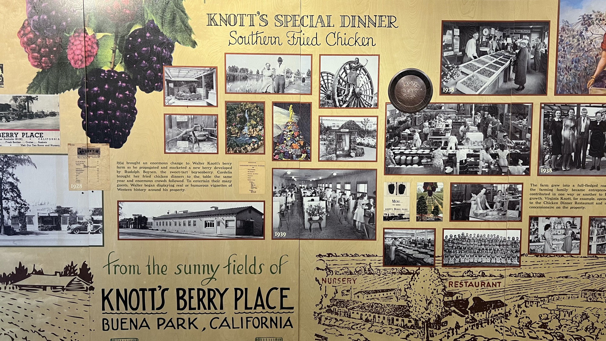 Knott's Berry Farm Timeline 1930s