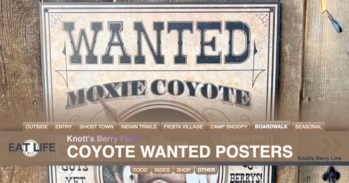 Coyote Wanted Posters