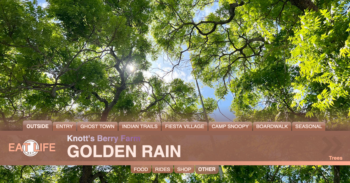 Golden Rain Trees