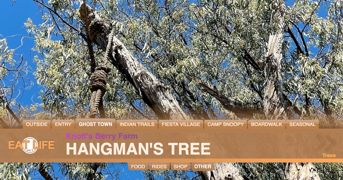 Hangman's Tree