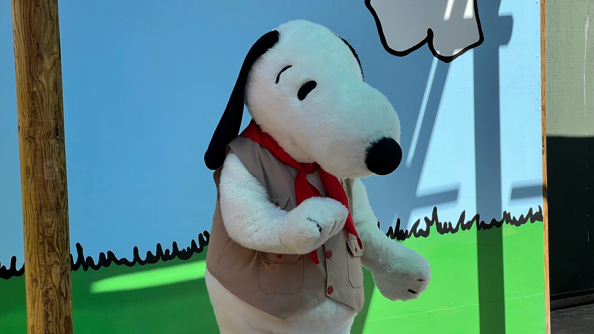 Snoopy 8