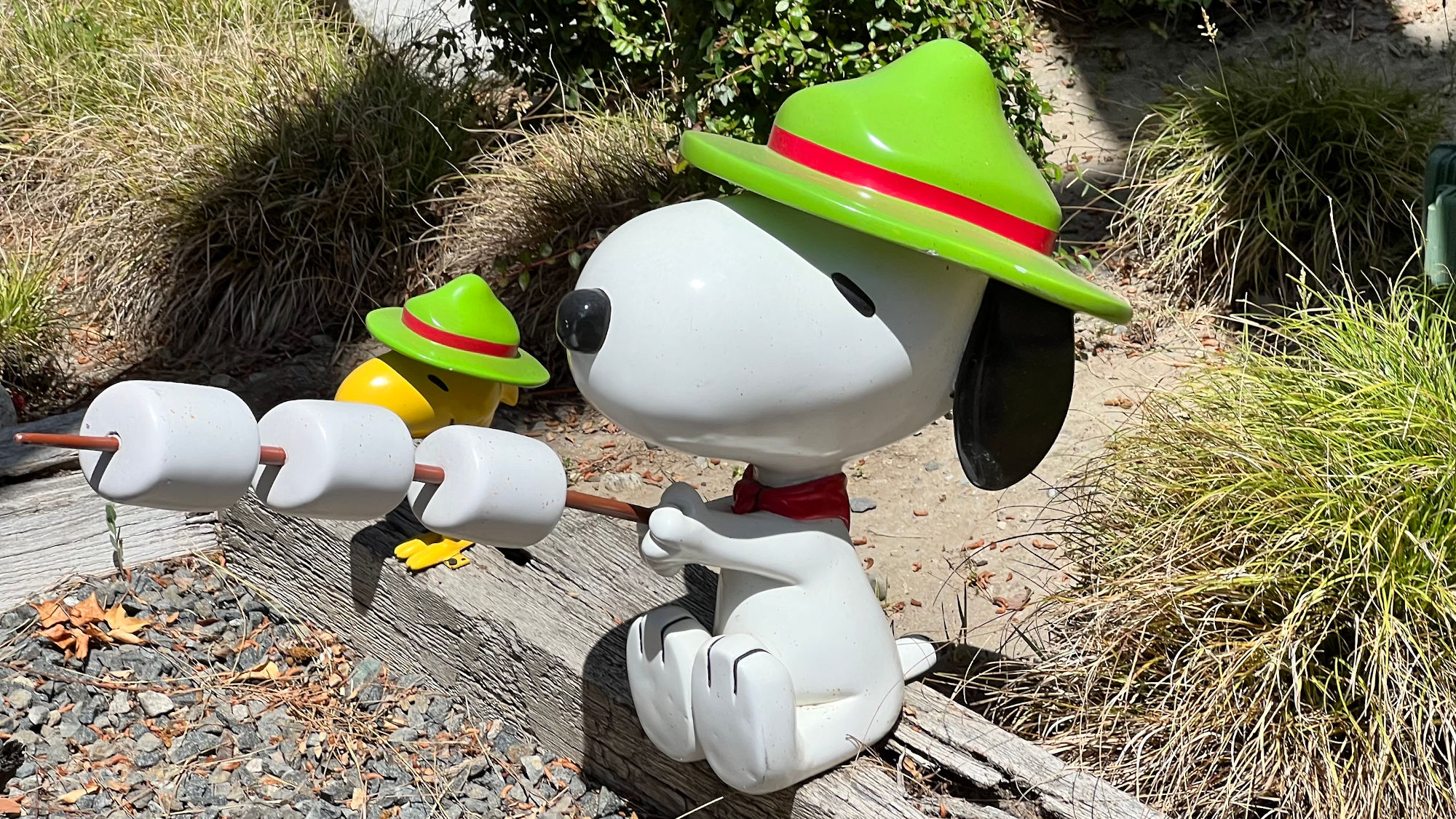 Snoopy Roasting Marshmallows