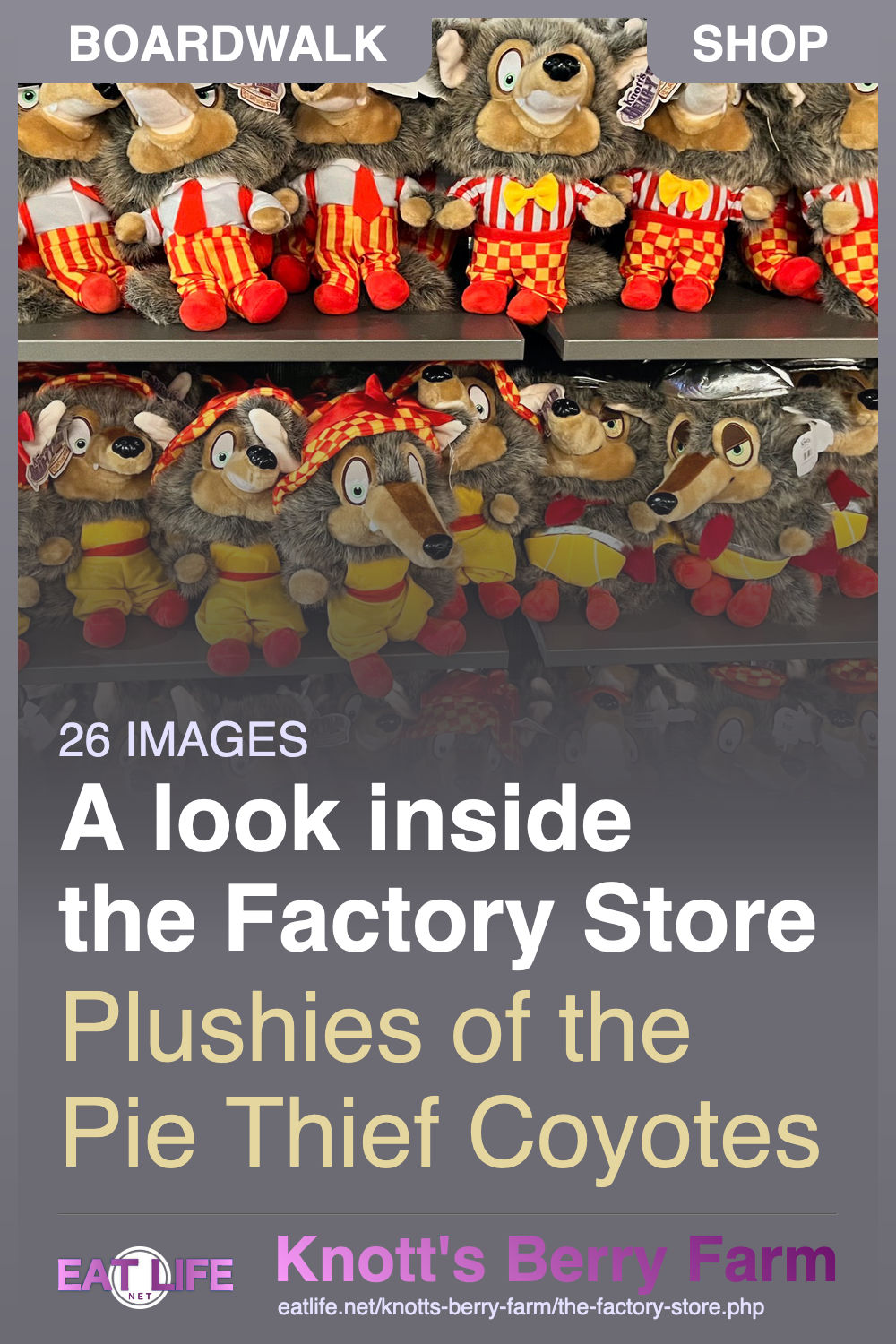 The Factory Store