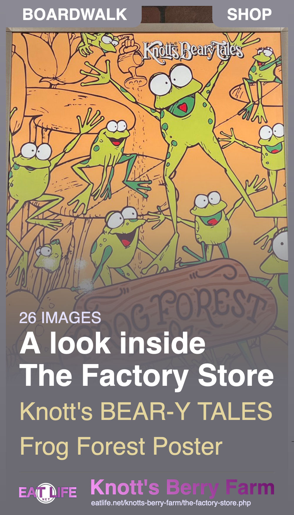 The Factory Store