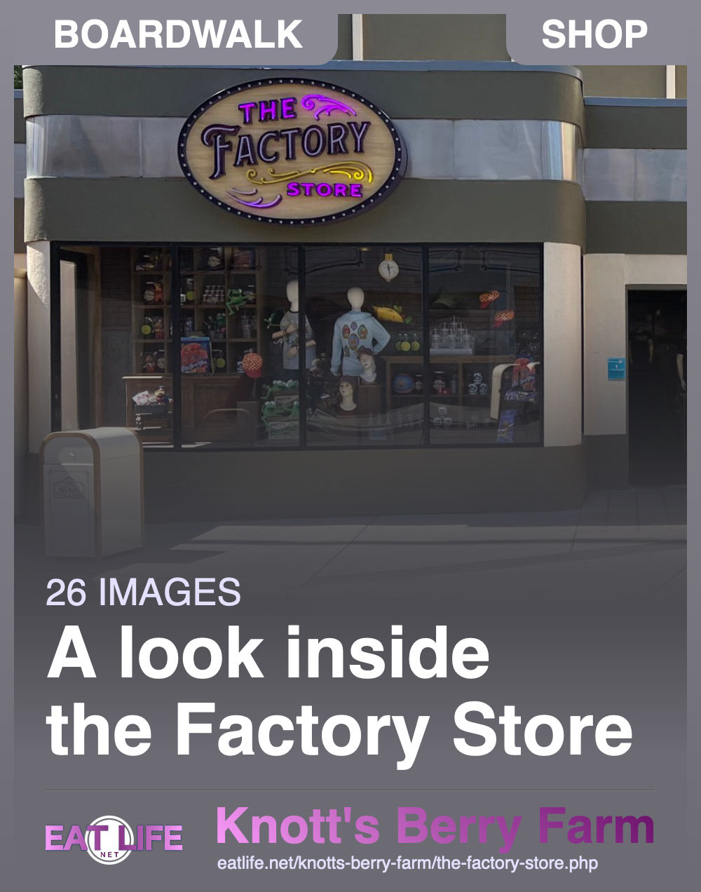 The Factory Store