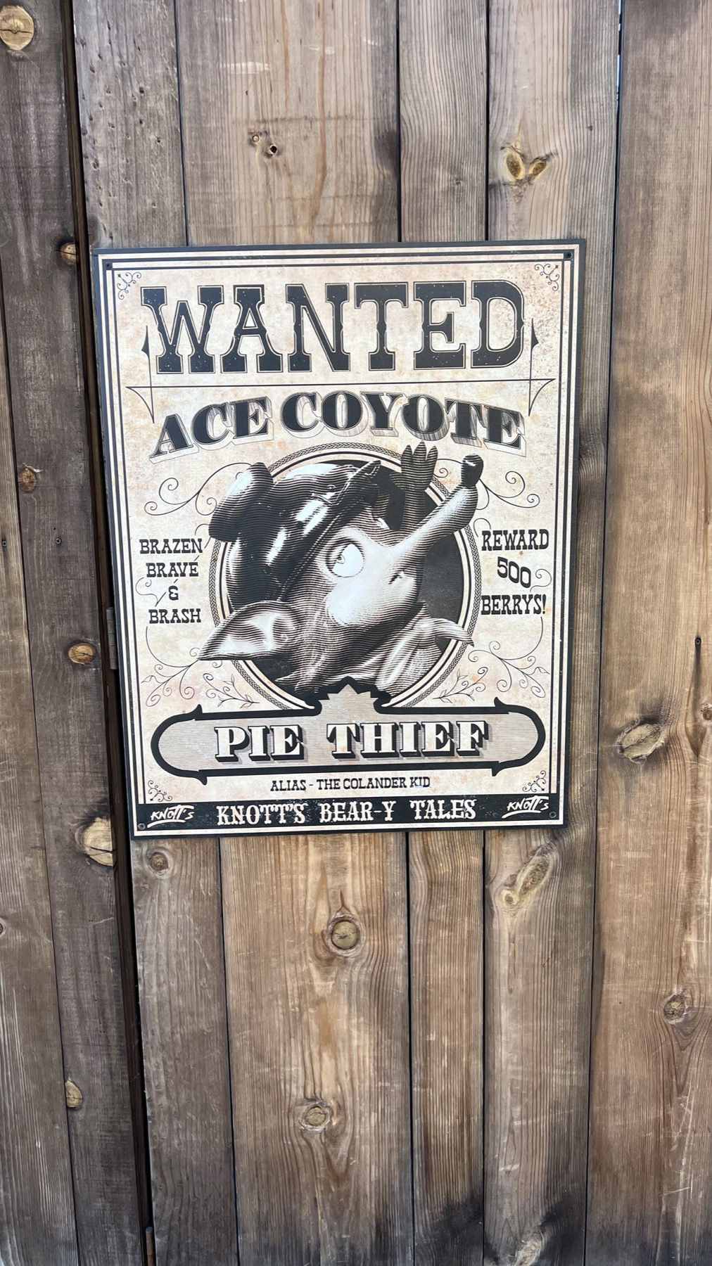 Wanted Ace Coyote