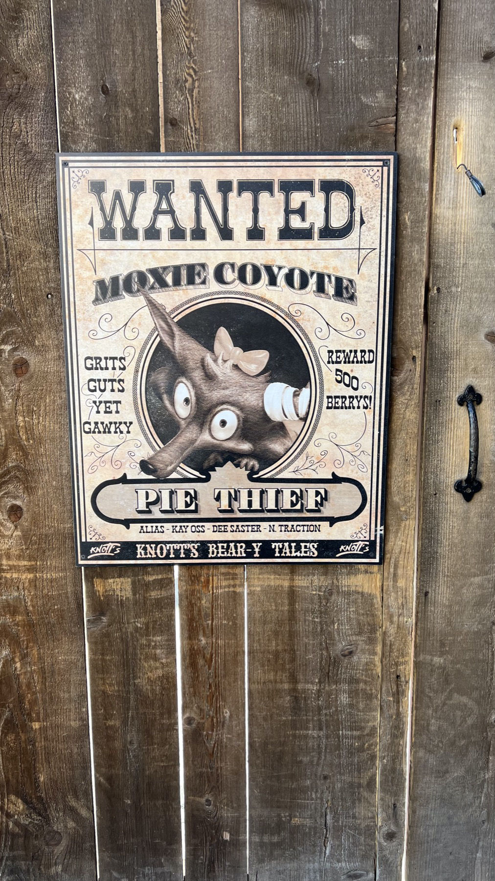 Wanted Moxie Coyote