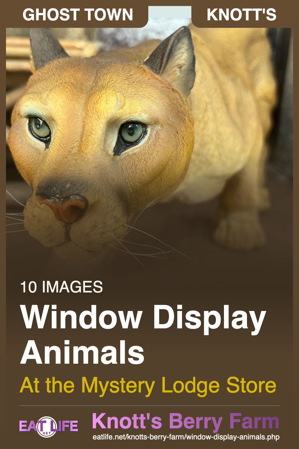 Window Display Animals