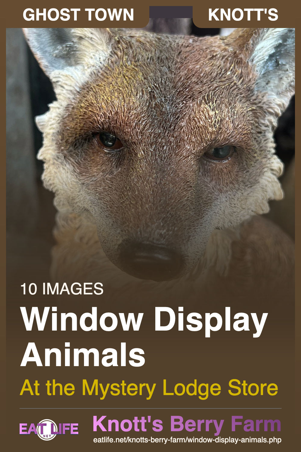 Window Display Animals