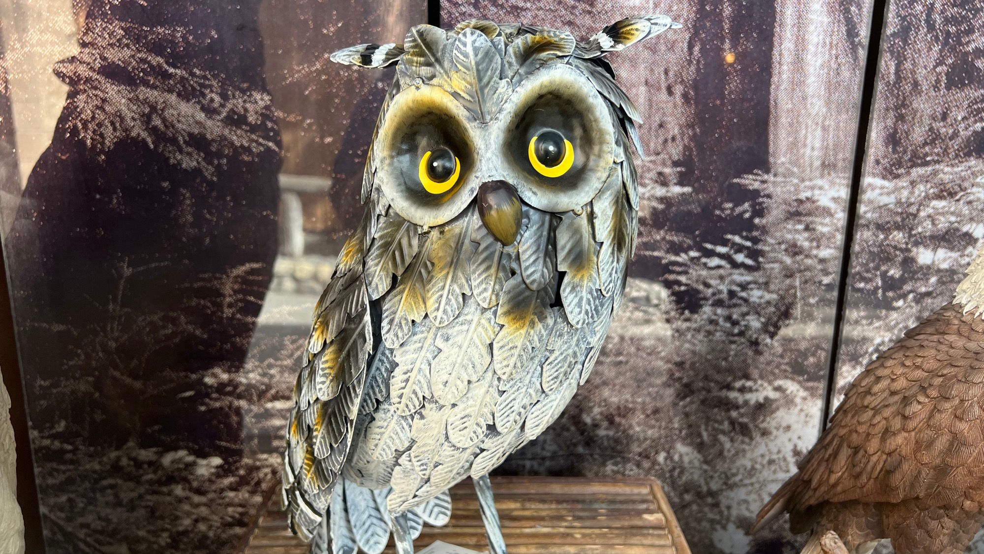 Window Display Animals Owl