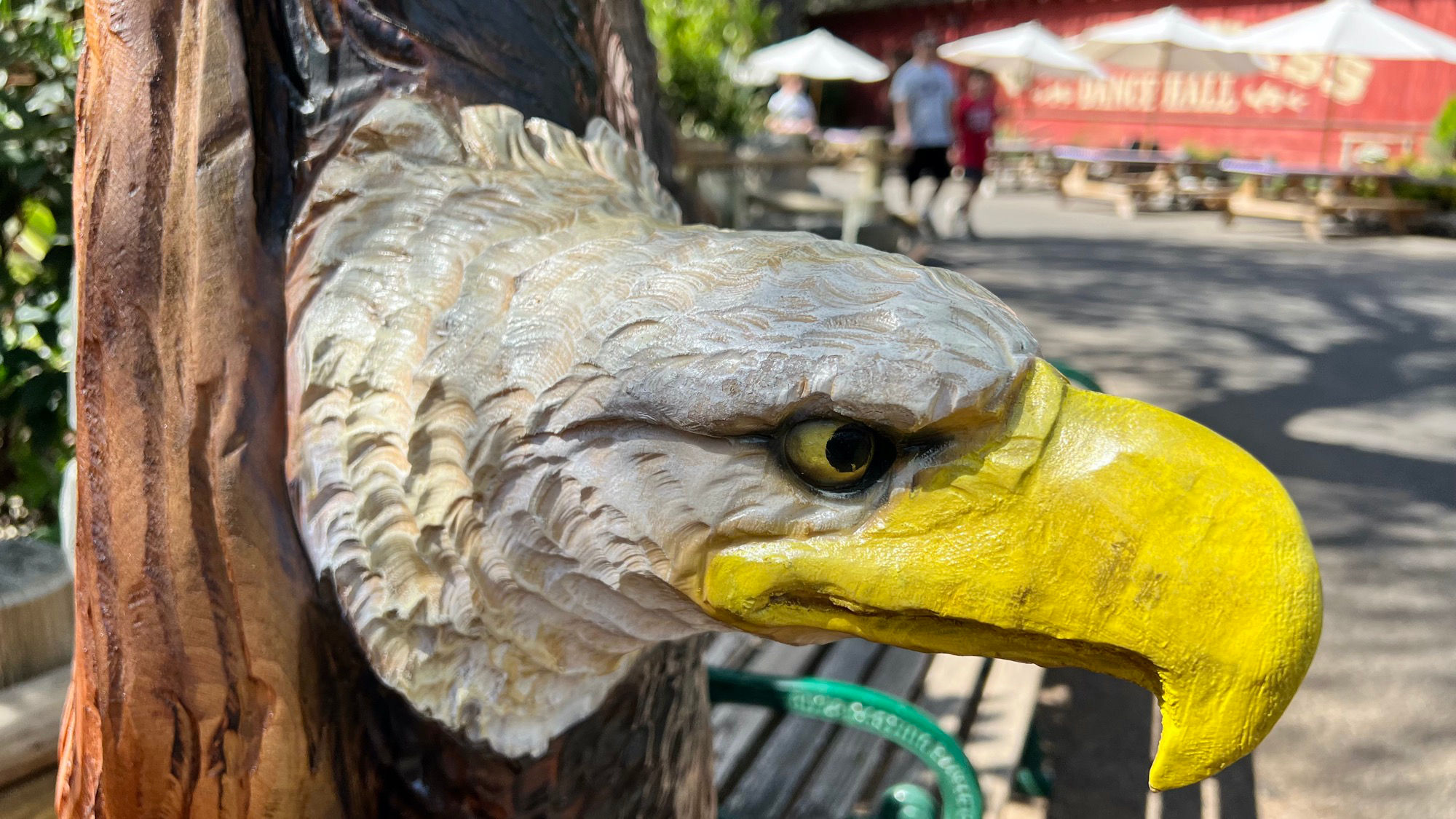 Wood Sculptures Booth Bald Eagle