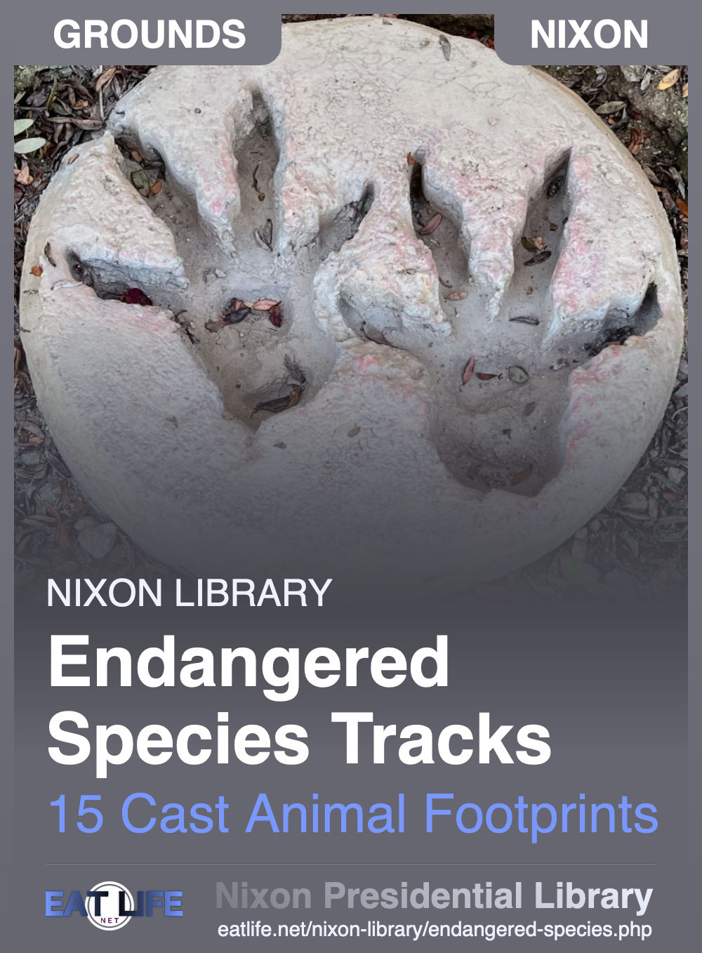 Endangered Species Tracks