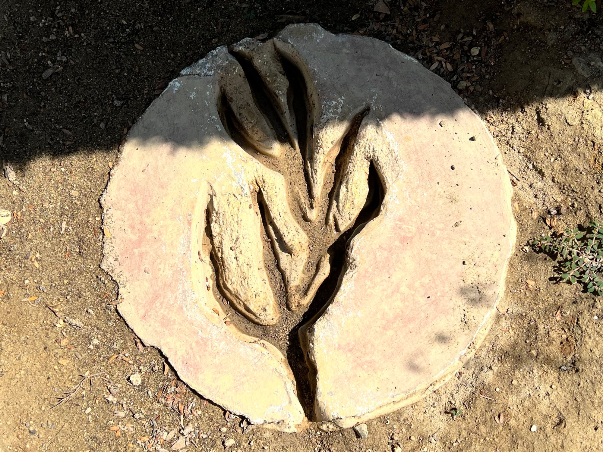 Footprint Cast Bald Eagle