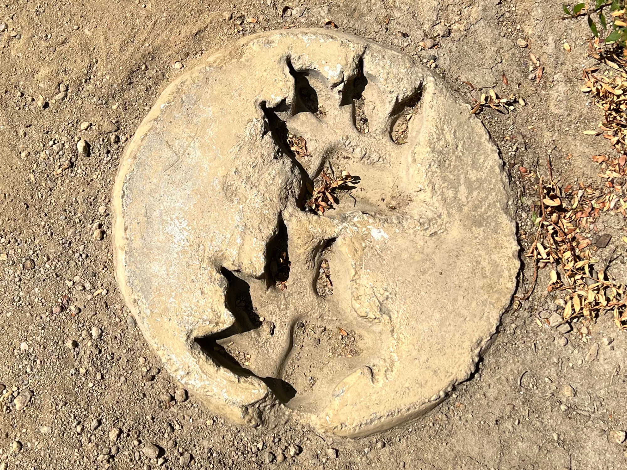 Footprint Cast Sea Otter