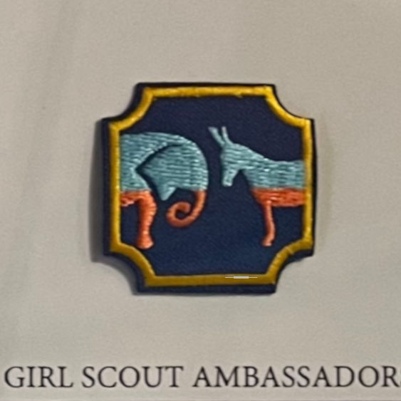 Girl Scouts Ambassador