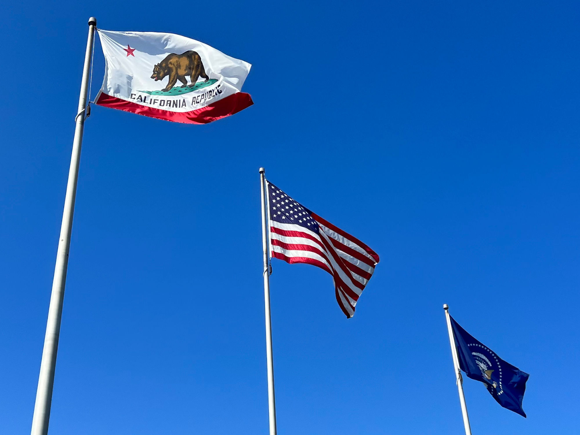 Nixon Library Flags